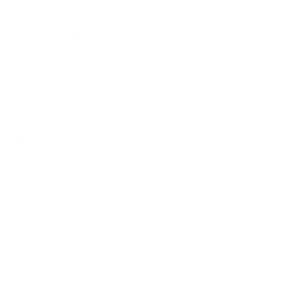 Logo_mini_wht